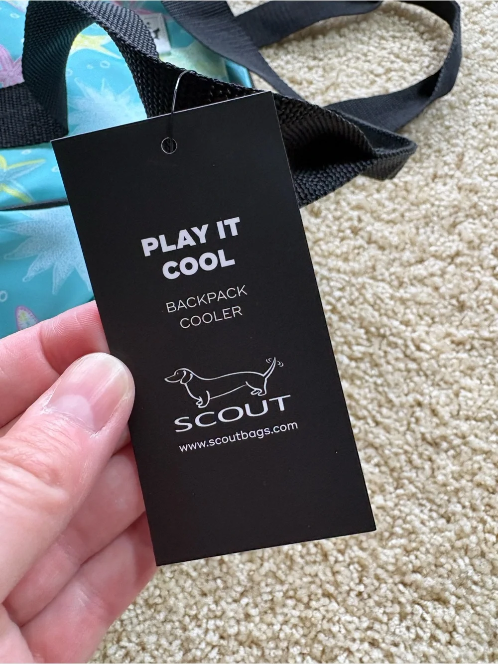 SCOUT Play It Cool Backpack Cooler Starfish Aqua Insulated Travel Beach NWT